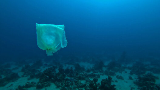 [Translate to Englisch:] Plastiktüte schwimmt im Ozean_cleanhub